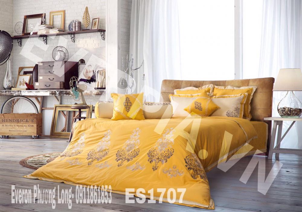 ES1707