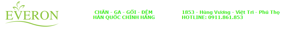 http://www.everonvietnam.vn
